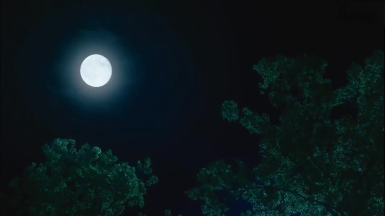《致青春》AI调教版-吴签爆X刘亦菲！-秘密图库